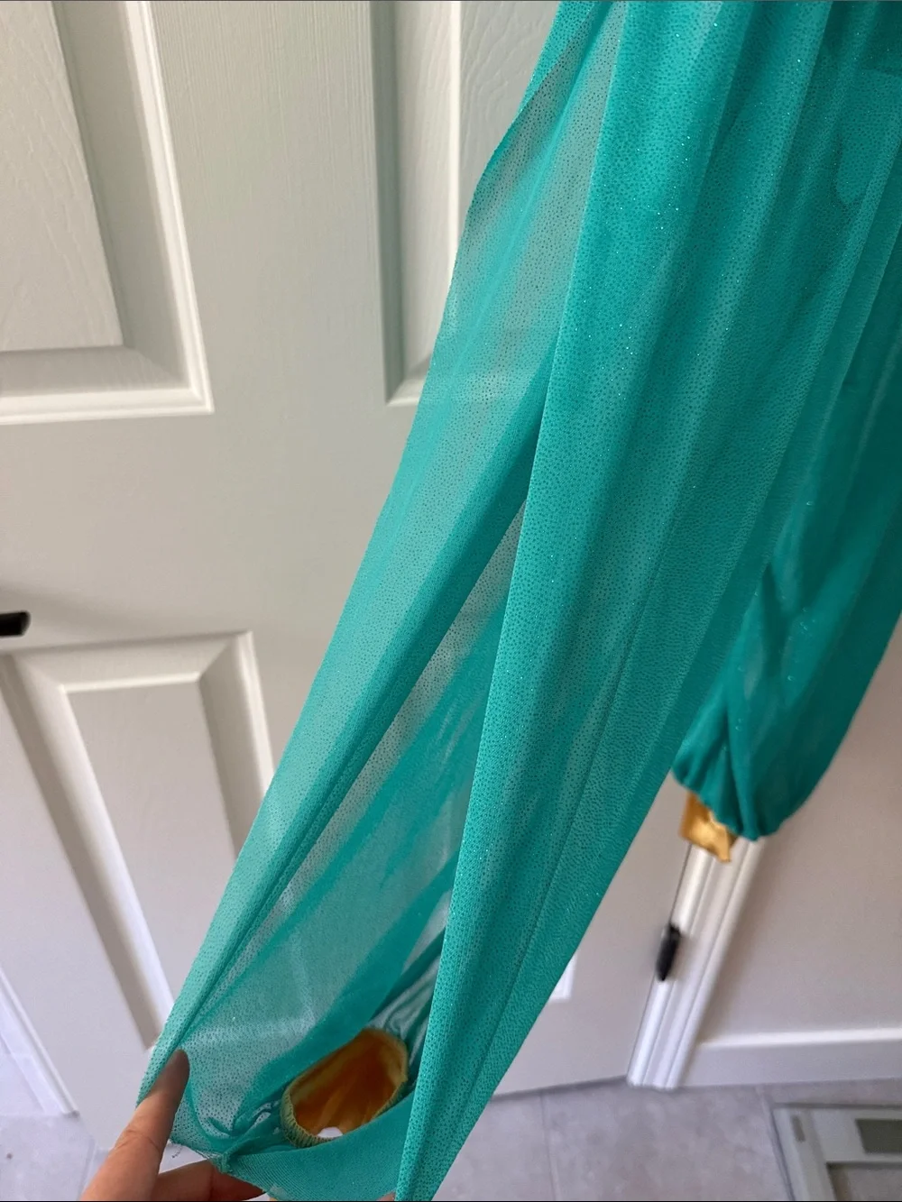 Princess Jasmine Costume